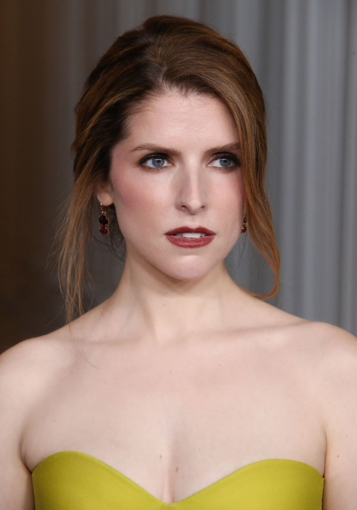 Anna Kendrick at LACMA Art and Film Gala Los Angeles, November 2024 3