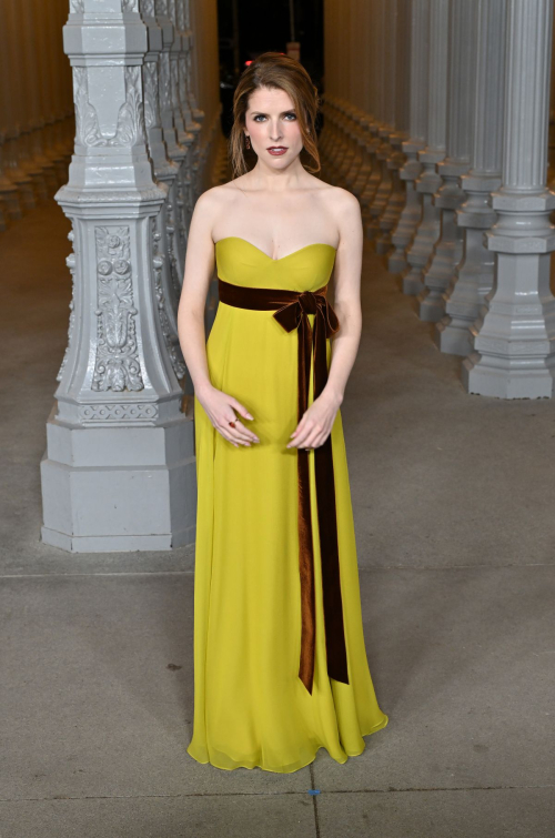 Anna Kendrick at LACMA Art and Film Gala Los Angeles, November 2024 6