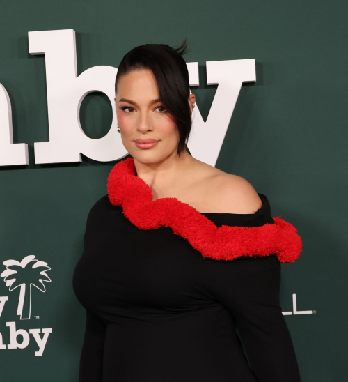 Ashley Graham at Baby2Baby Gala Los Angeles, November 2024 1