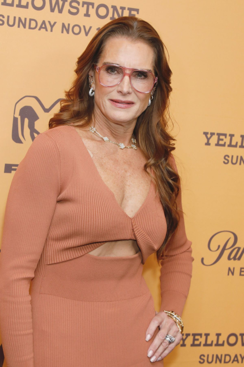 Brooke Shields at Yellowstone Premiere Museum of Modern Art, Nov 2024 4