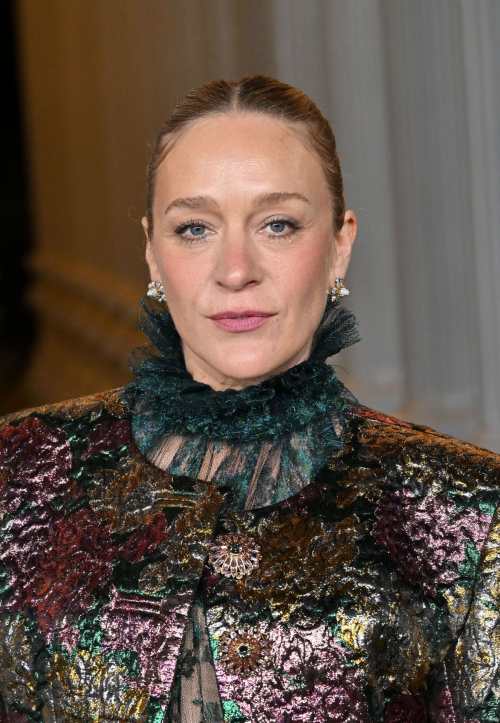 Chloe Sevigny at LACMA Art and Film Gala by Gucci, Los Angeles November 2024 1