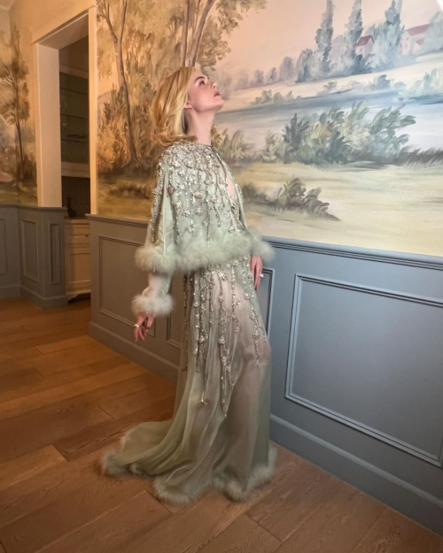 Elle Fanning Photoshoot for Governors Awards, November 2024 2