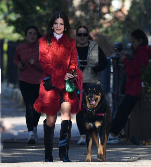 Emily Ratajkowski on Dog Walk New York, November 2024 1