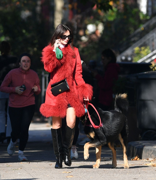 Emily Ratajkowski on Dog Walk New York, November 2024 3