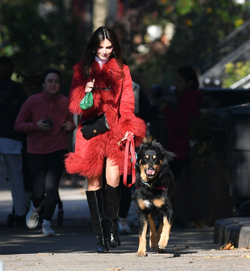 Emily Ratajkowski on Dog Walk New York, November 2024 4