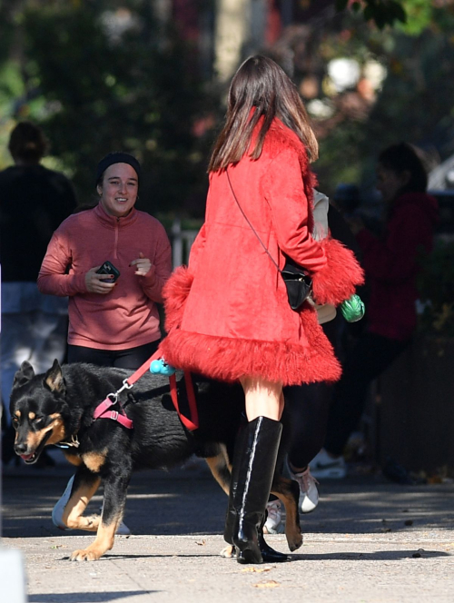 Emily Ratajkowski on Dog Walk New York, November 2024 5