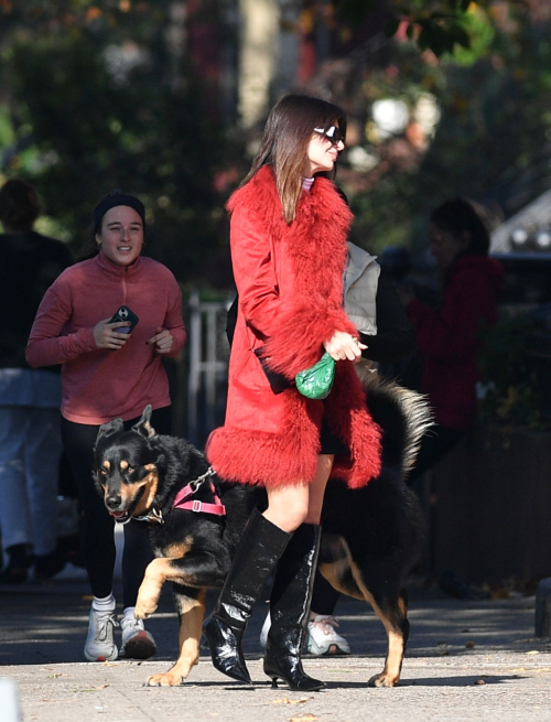 Emily Ratajkowski on Dog Walk New York, November 2024 6