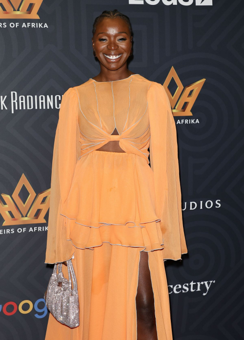 Folake Olowofoyeku at Women of Power Awards in Los Angeles, November 2024 2