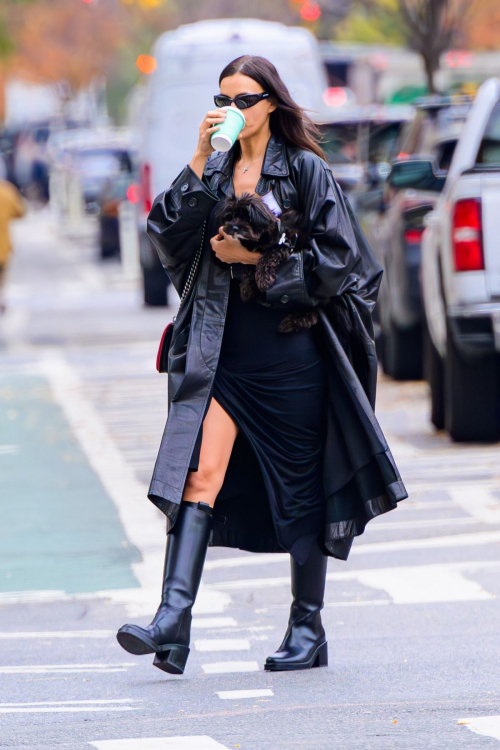 Irina Shayk Walking Her Dog in New York City, November 2024