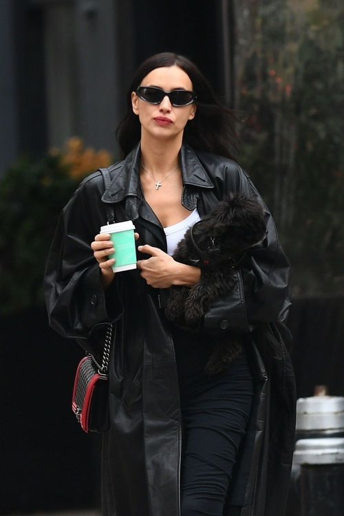 Irina Shayk Walking Her Dog in New York City, November 2024 1