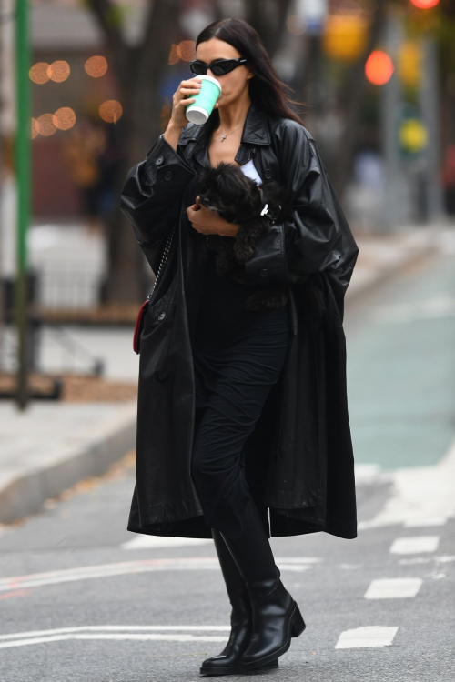 Irina Shayk Walking Her Dog in New York City, November 2024 2