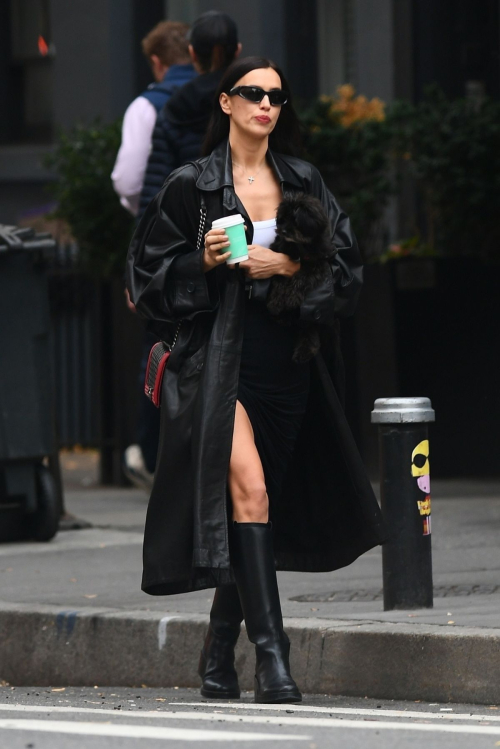 Irina Shayk Walking Her Dog in New York City, November 2024 3