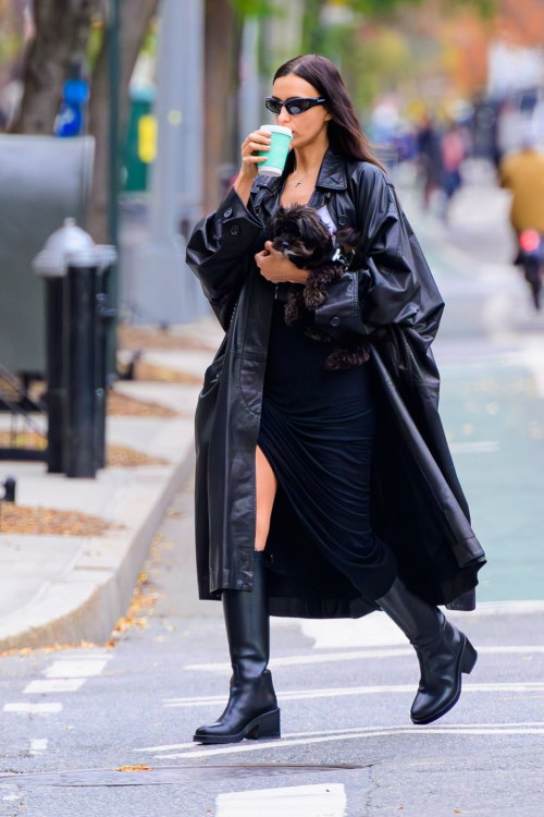 Irina Shayk Walking Her Dog in New York City, November 2024 4