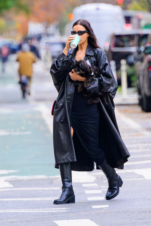 Irina Shayk Walking Her Dog in New York City, November 2024 5