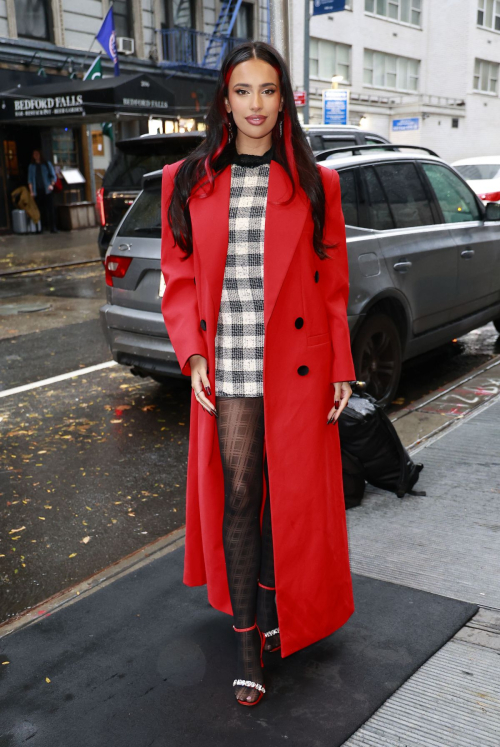 Kylie Cantrall Out and About in New York City, November 2024 6