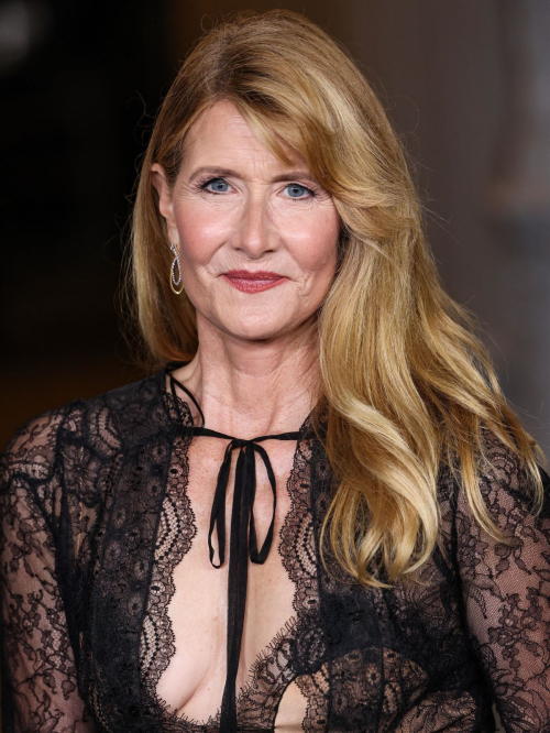 Laura Dern at LACMA Art and Film Gala by Gucci, Los Angeles November 2024 3