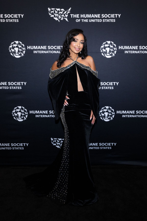 Mya at Humane Society Gala to the Rescue in New York, November 2024 1