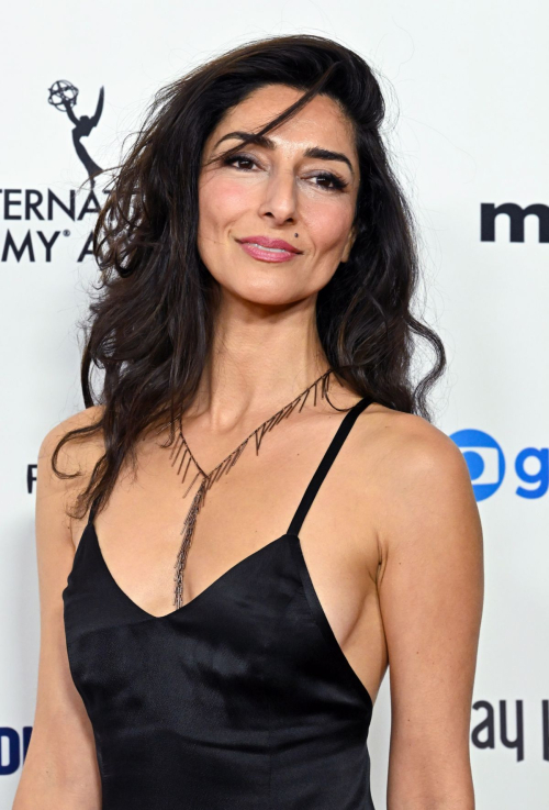 Necar Zadegan at 2024 International Emmy Awards, November 2024