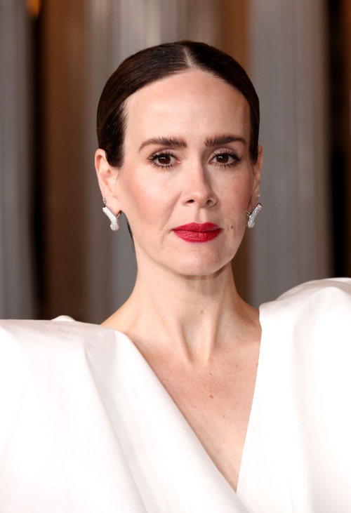 Sarah Paulson at LACMA Art and Film Gala Los Angeles, November 2024 4