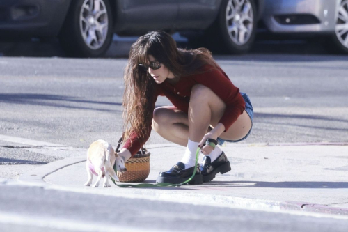 Scout Willis Out with Her Dog, Los Angeles November 2024 1