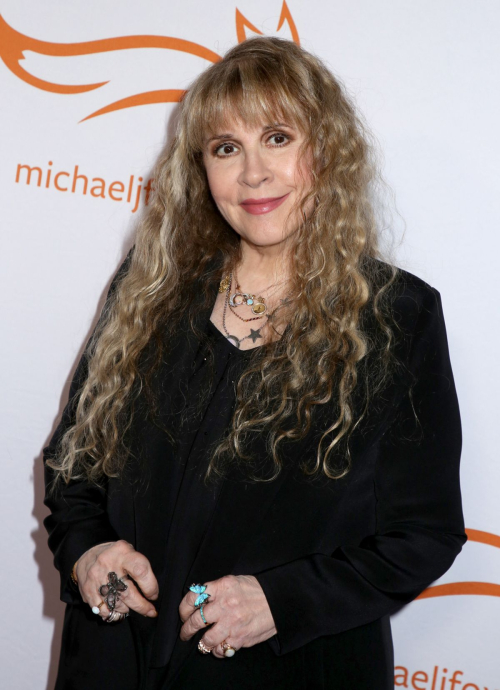 Stevie Nicks at A Funny Thing Happened On The Way To Cure Parkinson’s, November 2024