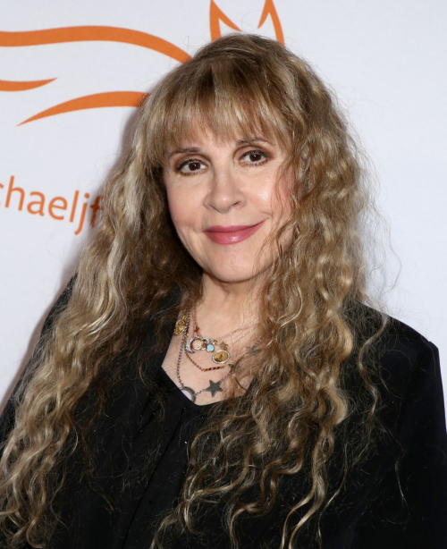 Stevie Nicks at A Funny Thing Happened On The Way To Cure Parkinson’s, November 2024 1