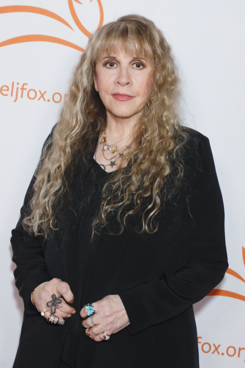 Stevie Nicks at A Funny Thing Happened On The Way To Cure Parkinson’s, November 2024 2