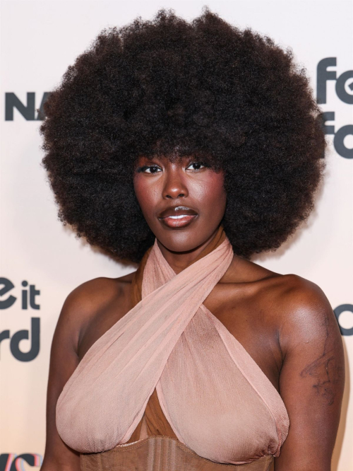 Tanerelle Stephens at Give Her FlowHERS Awards Gala Los Angeles, November 2024 1