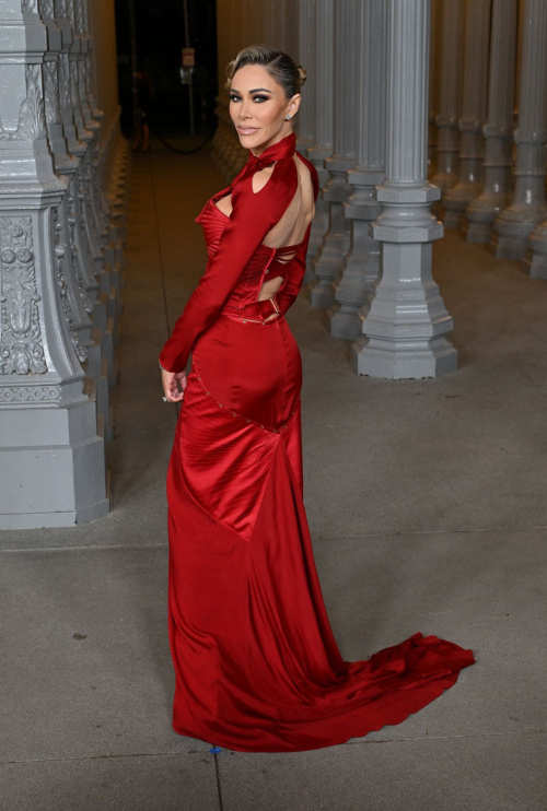 Tara Dollinger at LACMA Art and Film Gala Los Angeles, November 2024 1