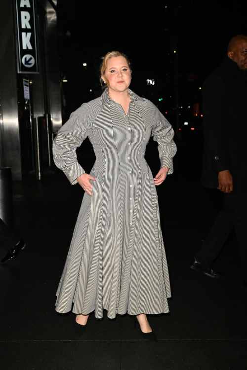 Amy Schumer at Comic Relief Gala Event in New York, December 2024 1