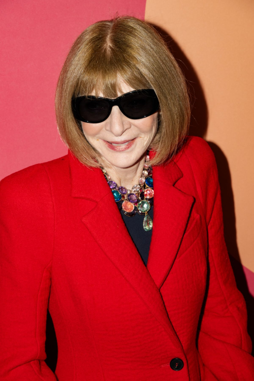 Anna Wintour at All In: Comedy About Love Gala, December 2024