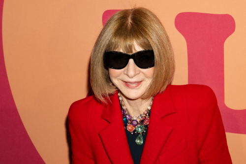 Anna Wintour at All In: Comedy About Love Gala, December 2024 2