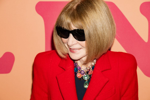 Anna Wintour at All In: Comedy About Love Gala, December 2024 3