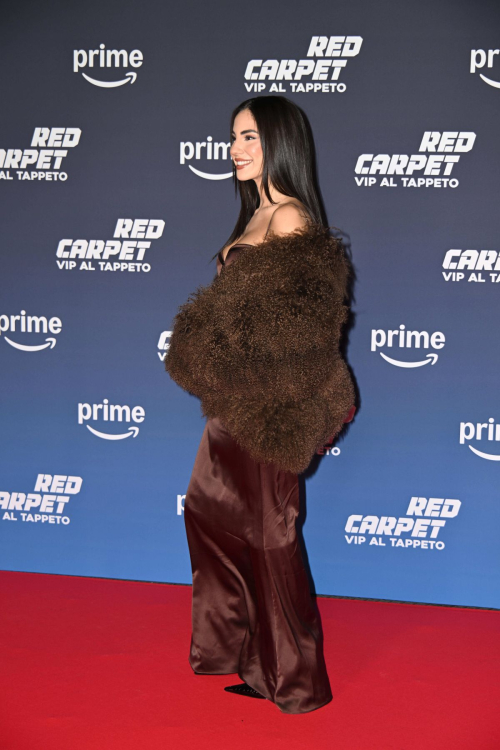 Giulia De Lellis at Vip Al Tappeto Red Carpet, December 2024 4