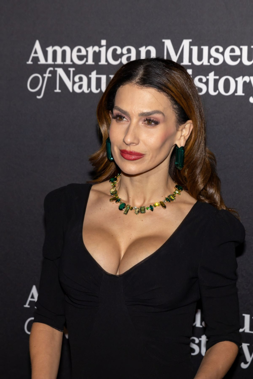 Hilaria Baldwin at American Museum of Natural History Gala, December 2024 5