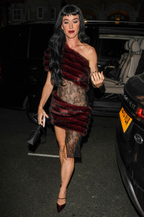 Katy Perry at Private Members Club in Mayfair, December 2024 5