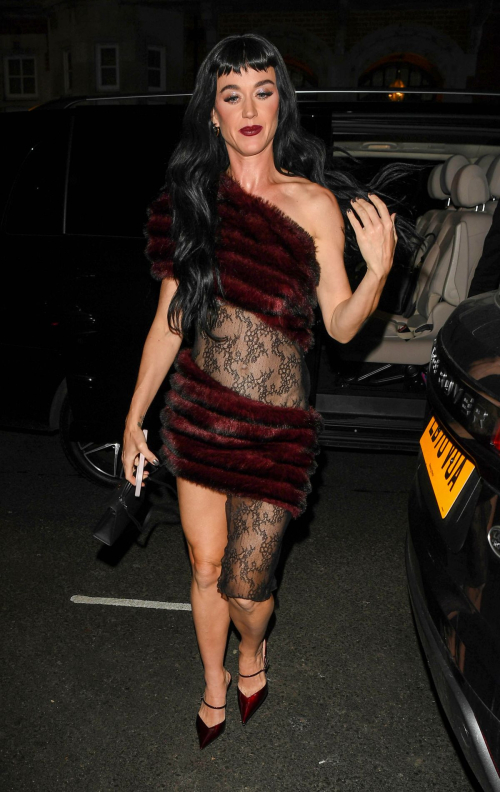 Katy Perry at Private Members Club in Mayfair, December 2024 7