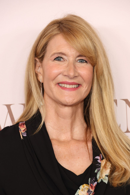 Laura Dern at Hollywood Reporter