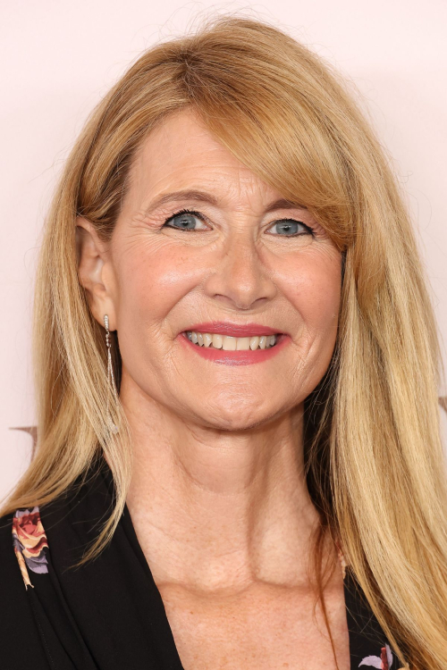 Laura Dern at Hollywood Reporter