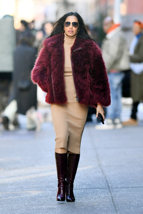 Padma Lakshmi Out and About in New York, December 2024 9