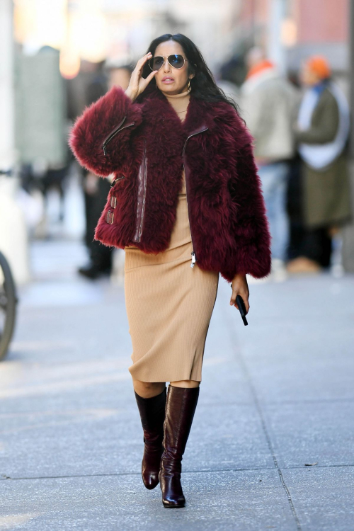 Padma Lakshmi Out and About in New York, December 2024 2