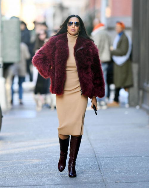 Padma Lakshmi Out and About in New York, December 2024 3