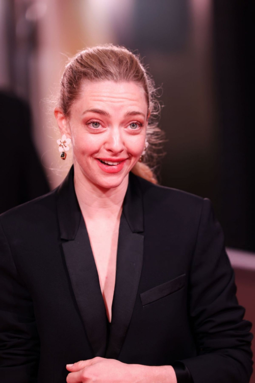 Amanda Seyfried Wows at Life Is A Dream Concert, January 2025 2