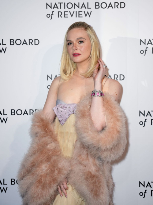 Elle Fanning Shines at National Board of Review Awards Gala, January 2025 3