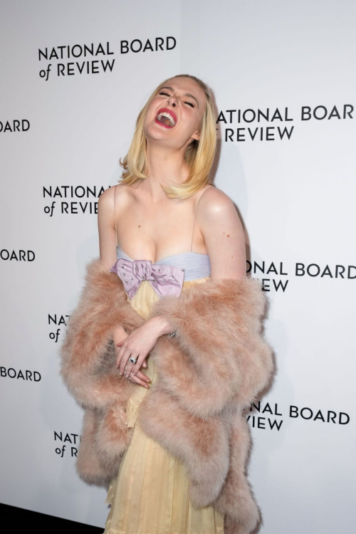 Elle Fanning Shines at National Board of Review Awards Gala, January 2025 4