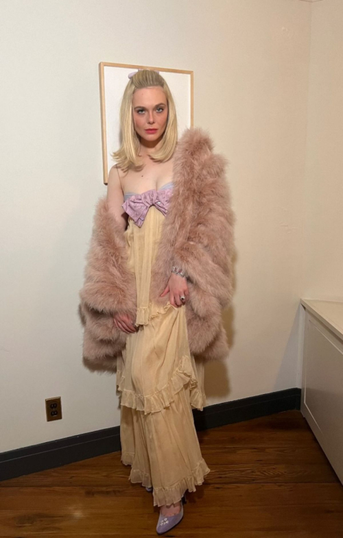 Elle Fanning Wows at National Board of Review Gala, January 2025​ 1