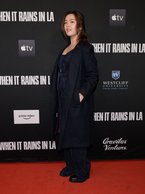 Evelyn Wan at When It Rains in LA Premiere, January 2025 1