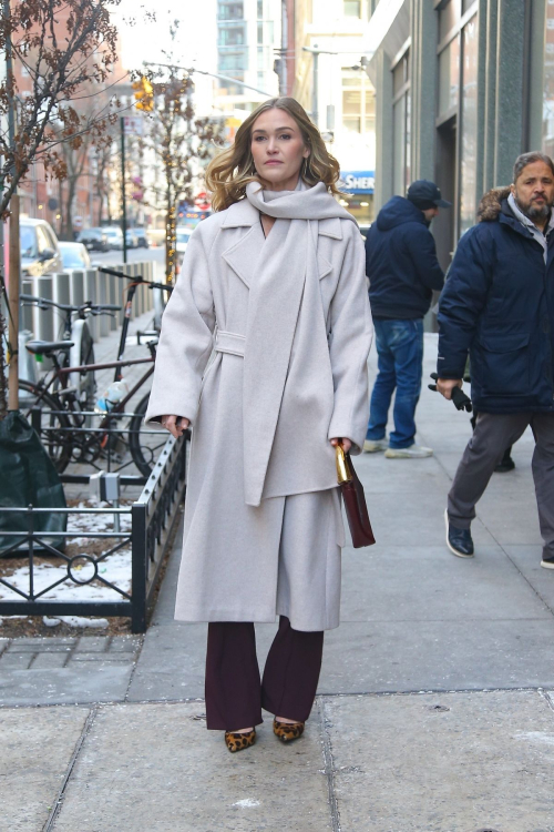 Julia Stiles Spotted in New York City, January 2025 2