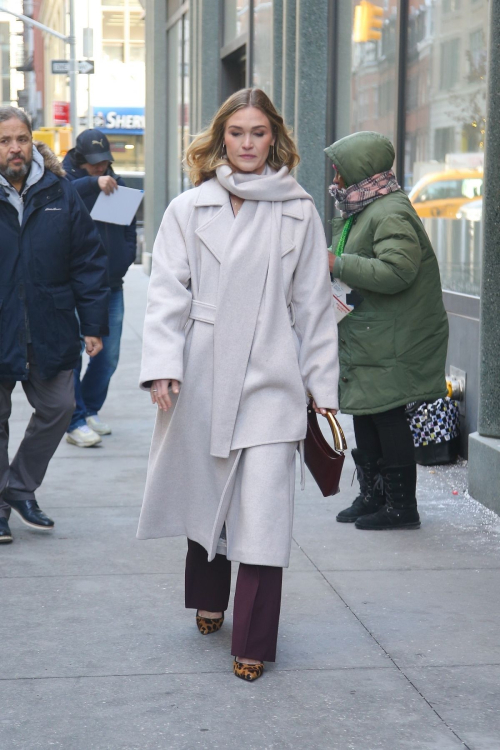 Julia Stiles Spotted in New York City, January 2025 4