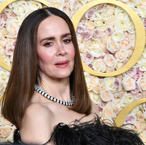 Sarah Paulson Looks Stunning at Golden Globes, January 2025 2